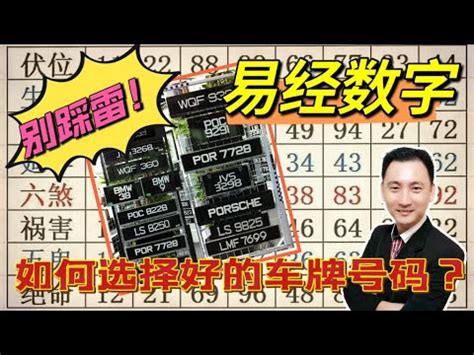 車牌胸及|選牌技巧知多少！從數字五行解析車牌吉凶